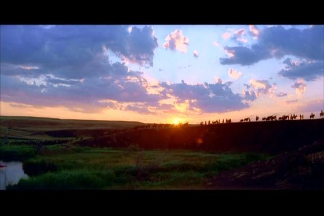 Dança com Lobos foto 3